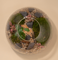 Load image into Gallery viewer, Forest Terrarium
