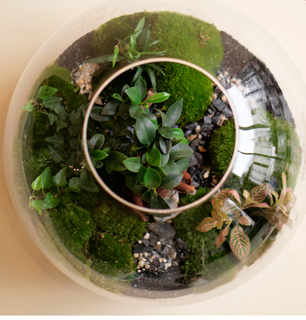 Globe Terrarium