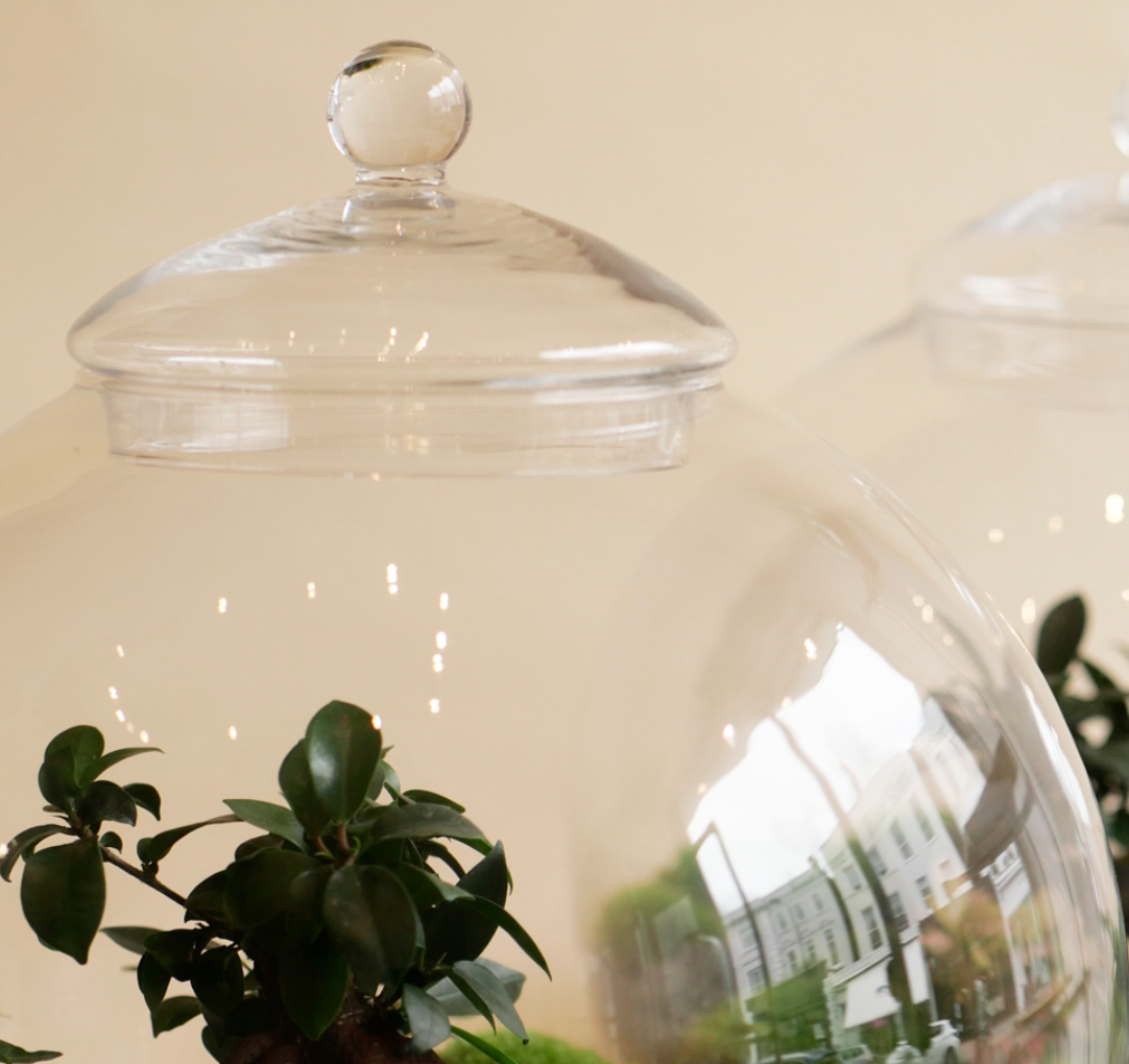 Globe Terrarium