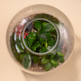 Load image into Gallery viewer, Jungle XL Terrarium
