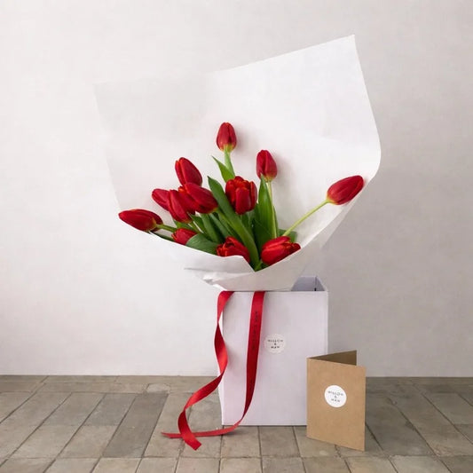 Valentines: The Love